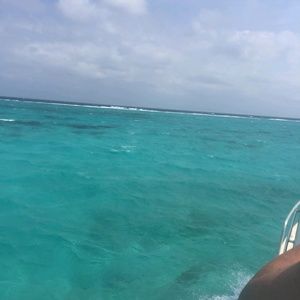 Meet your Posher, Elsa